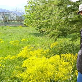 Camo Giallo Spinshirt